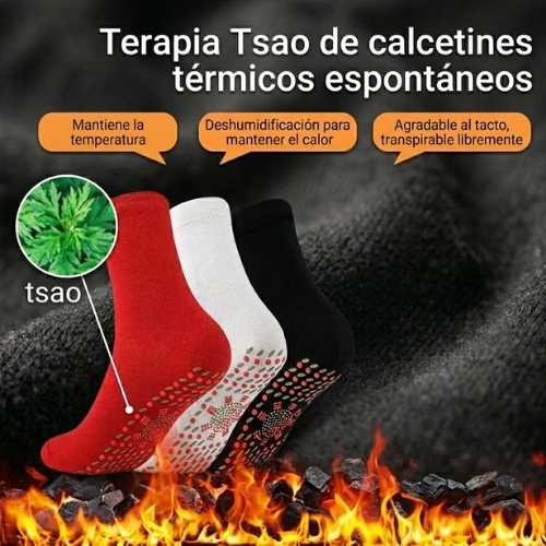 Encabezado